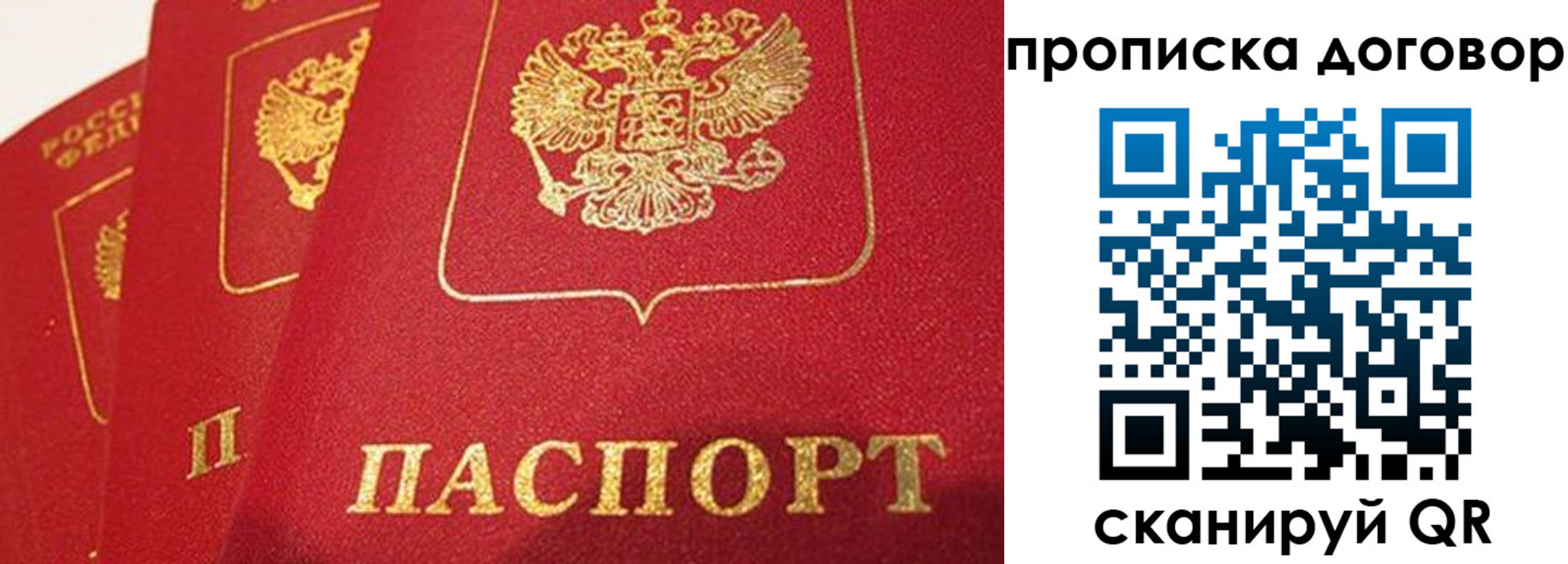 временная регистрация госуслуги в Соколе
